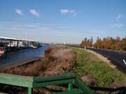 The water side of the levee in the Delta