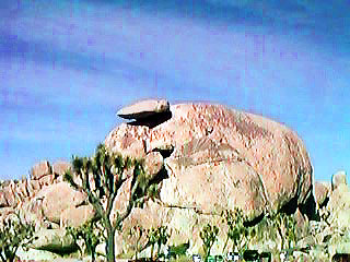 Cap Rock - Joshua Tree National PArk